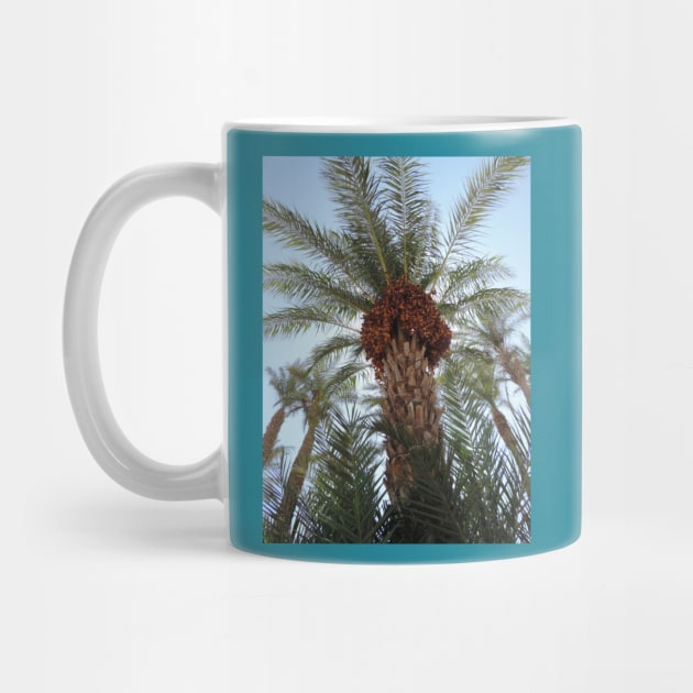 Date Palm by SPACE ART & NATURE SHIRTS 